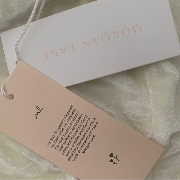 Morgan Lane Retro Beige Velvet One-Piece Sexy Swimsuit Large - Picture 11 of 12